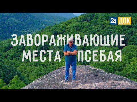 Видео: Лошади, полет на самолете, звуковая терапия в Псебае. «Не проезжайте мимо»