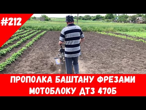 Видео: Прополка баштану фрезами мотоблоку ДТЗ 470Б