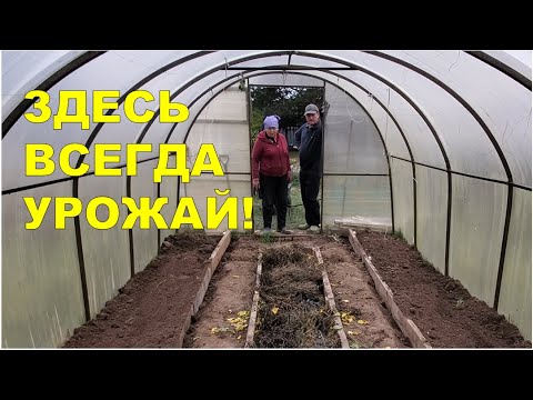 Видео: Идеальная теплица. Тёплая грядка внутри.