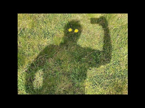 Видео: Профілактика осцилографа с1-73