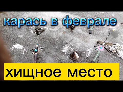 Видео: Ловля карася зимой со льда. Стоит там где даже не подумаеш.