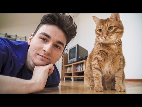 Видео: ЧТО МЫ ДЕЛАЕМ ЗА ДЕНЬ?