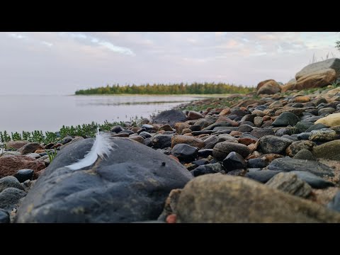 Видео: С О Л О В К И