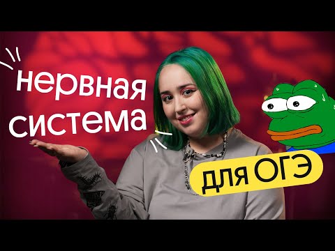 Видео: НЕРВНАЯ СИСТЕМА для ОГЭ ПО БИОЛОГИИ | Самая СЛОЖНАЯ ТЕМА