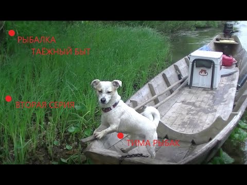 Видео: Рыбалка.Перекаты.Устье Лоймы. Ужен в тайге. Судоверфь. Коми край. Ukhta.