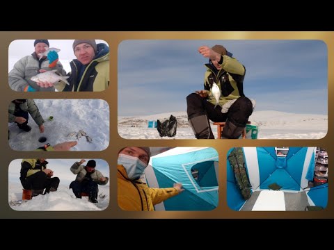 Видео: Глухих - Рыбалка # 4 @dmitorex