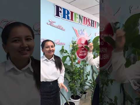 Видео: МИФ ОНКҮНДІГІ