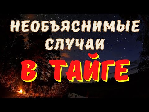 Видео: Охотничьи байки/ Лесные ужасы на охоте/ Страшные истории охотников