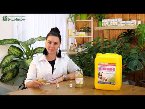 Видео: Ветоспорин Ж | Инструкция по применению