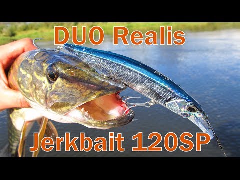 Видео: Обзор воблера DUO Realis Jerkbait 120SP