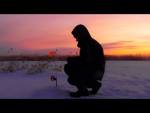 Видео: ЖЕРЛИЦЫ СРАБАТЫВАЮТ ПРЯМО В РУКАХ!! ЗДЕСЬ ЩУКИ МОРЕ!! ПЕРВЫЙ ЛЁД 2022-2023!!