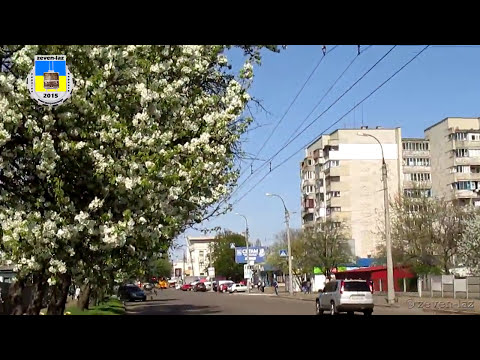 Видео: Черкасский троллейбус- Белый цвет груш в солнечный день, ЗиУ-9, ЗиУ-10, ЛАЗ E183D1 29.04.2015