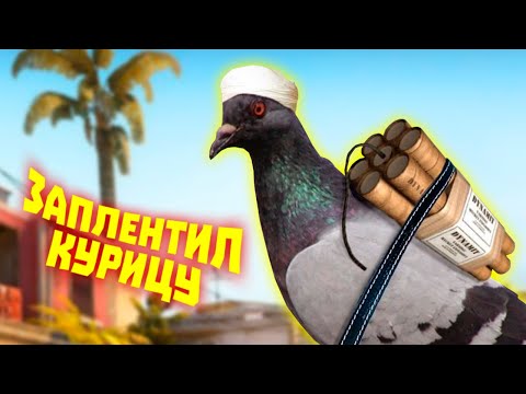 Видео: Лютые приколы в играх | WDF 270 | СТРАННЫЕ ПТИЦЫ