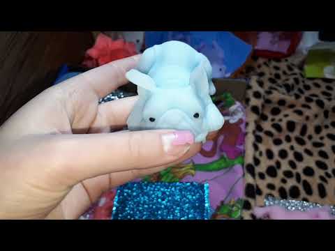 Видео: новые песика🐕сквиши собаки🐶