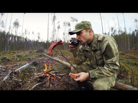Видео: Охота на рябчика осенью в незнакомом лесу. Поход в тайгу. Разведение костра.