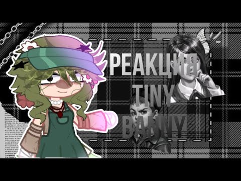 Видео: ☃️❄️РЕАКЦИЯ TINY BANNY НА Т/И❄️☃️