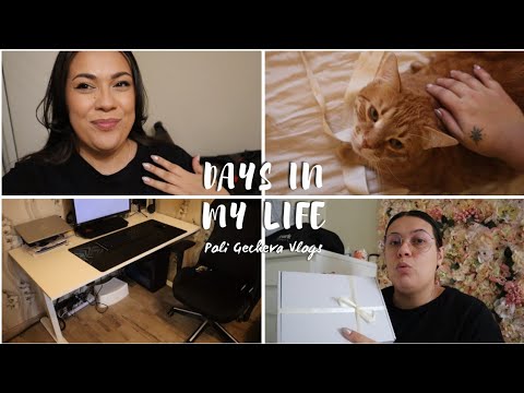 Видео: Книжна Кутия, Регулируемо Бюро, ТикТок Чийзкейк, Готвене + Ежедневие | Уикенд Влог | PGG