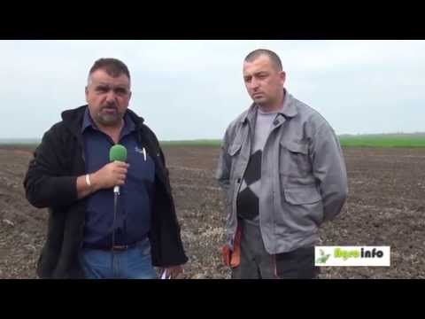 Видео: Тимак 42 -  опит  при  Боян Бончев от Узунджово