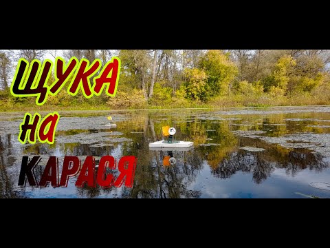 Видео: ЩУКА НА ЖЕРЛИЦЫ И КРУЖКИ И ПОСТАВУШКИ ОСЕНЬЮ! КАК ПОЙМАТЬ ЩУКУ В ЗАРОСШИХ ВОДОЕМАХ! 24 ЧАСА ЗА ЩУКОЙ