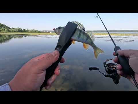Видео: Капризная рыба.Мормышинг.