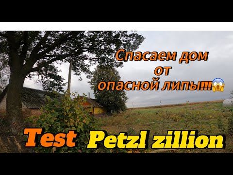 Видео: Арбористика‼️Максимально сложное дерево🌳 нависло на дом.Удаляем по частям.Тестируем Petzl zillion