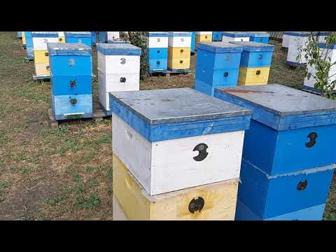 Видео: Закормка в зиму 2 корпуса Рут