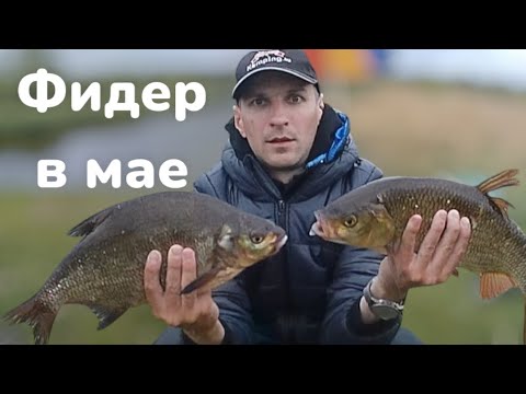 Видео: Плотва на фидер. Рыбалка на Березине в мае