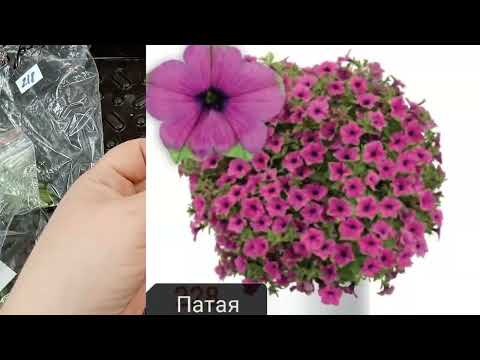 Видео: 😡Сыта по горло ЭВРО ЧЕРЕНКОМ.😡Получила неукор.😭