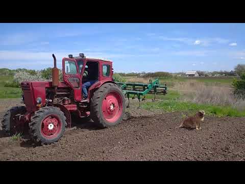 Видео: Культивация самодельным культиватором!