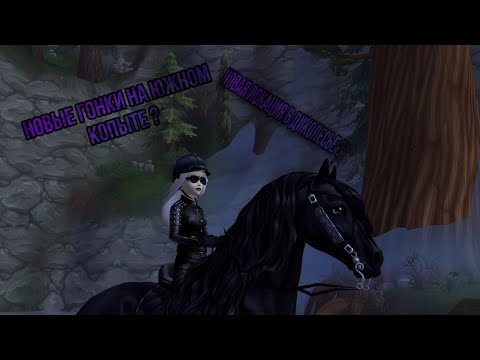 Видео: Смотрим новые гонки на Южном Копыте|Star Stable Online🦋