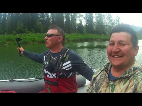 Видео: Рыбалка на горной реке Лебедь вместо хариуса на перекате клюёт окунь