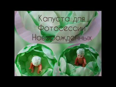 Видео: МК  Капуста для фотосессии новорожденных