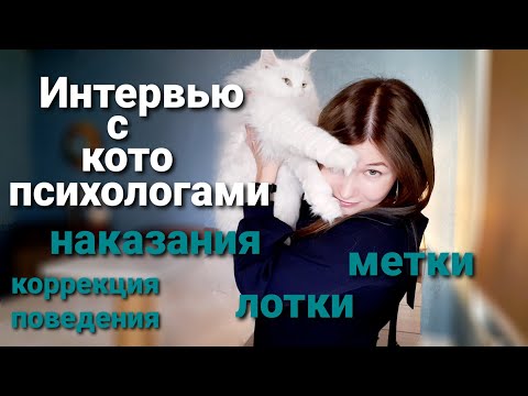 Видео: Интервью с котопсихологами. Всё, что вам нужно знать о психологии кошек