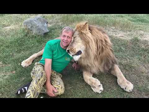 Видео: Мы пришли на ЛЬВИНЫЙ ПЛЯЖ !!!