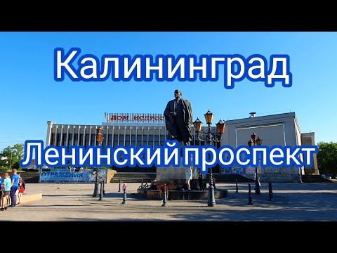 Видео: 4К Калининград - Ленинский проспект#калининград#кёнигсберг#отдыхвкалининграде