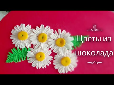 Видео: Ромашки из шоколада  Окрашивание шоколада.