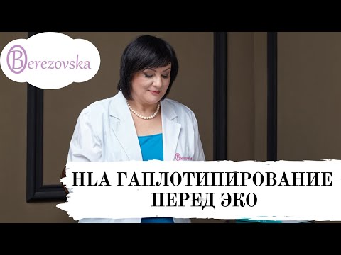 Видео: HLA гаплотипирование перед ЭКО @DrOlenaB