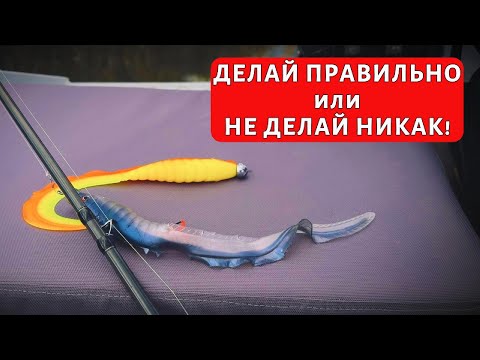 Видео: Убойная проводка на щуку...