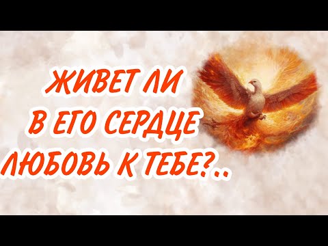 Видео: ЛЮБОВЬ или НЕНАВИСТЬ? ЧТО ОН ЧУВСТВУЕТ по ОТНОШЕНИЮ К ТЕБЕ?!  Таро отношения|Таро о мужчинах|