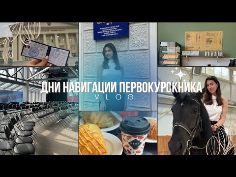 Видео: ВЛОГ: Дни навигации первокурсника ДГТУ🏫