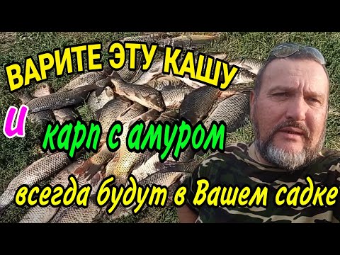 Видео: Убойная, моя любимая, прикормка-каша для ловли карпа и амура. Пошаговое приготовление.