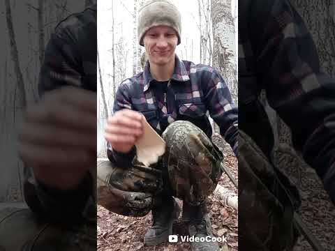 Видео: ОБЗОР: Ножа "RECON TANTO" и "ХИЩНИК"