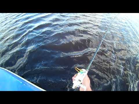 Видео: Троллинг щуки на реке Шелонь, 22 сентября.