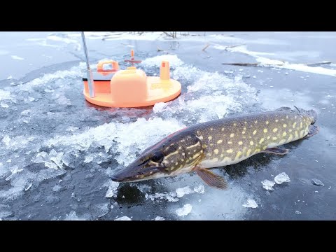 Видео: полный обзор американских жерлиц TIP-UP