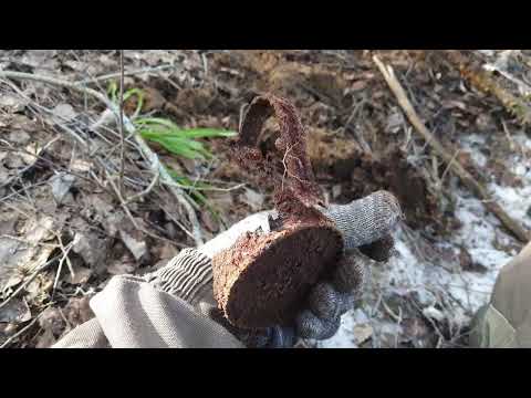 Видео: Пробное видео