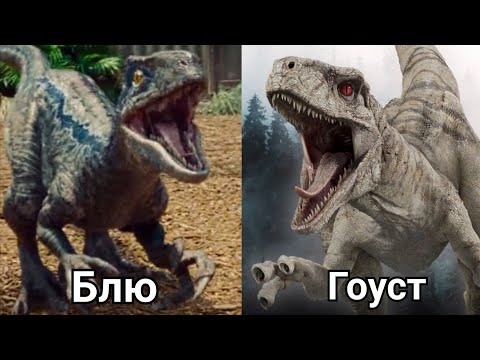 Видео: Велоцираптор Блю против Атроцираптор Гоуст