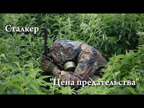 Видео: Сталкер. "Цена предательства". Фильм короткометражка.