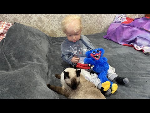 Видео: РЕБОРН «Серёга помощник»