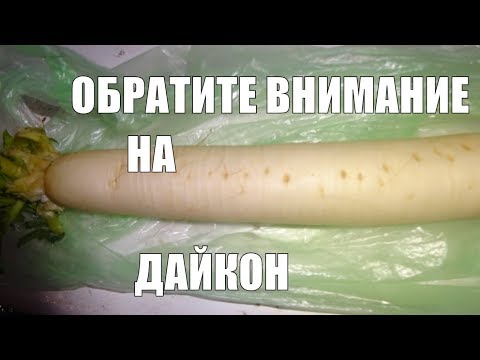Видео: Дайкон Почему нужно есть дайкон чаще