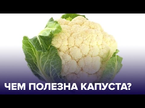Видео: Вся правда о КАПУСТЕ: кому полезна, а кому нет?